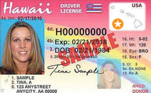 リアルid 準拠のハワイの運転免許証って オンライン取得方法も紹介