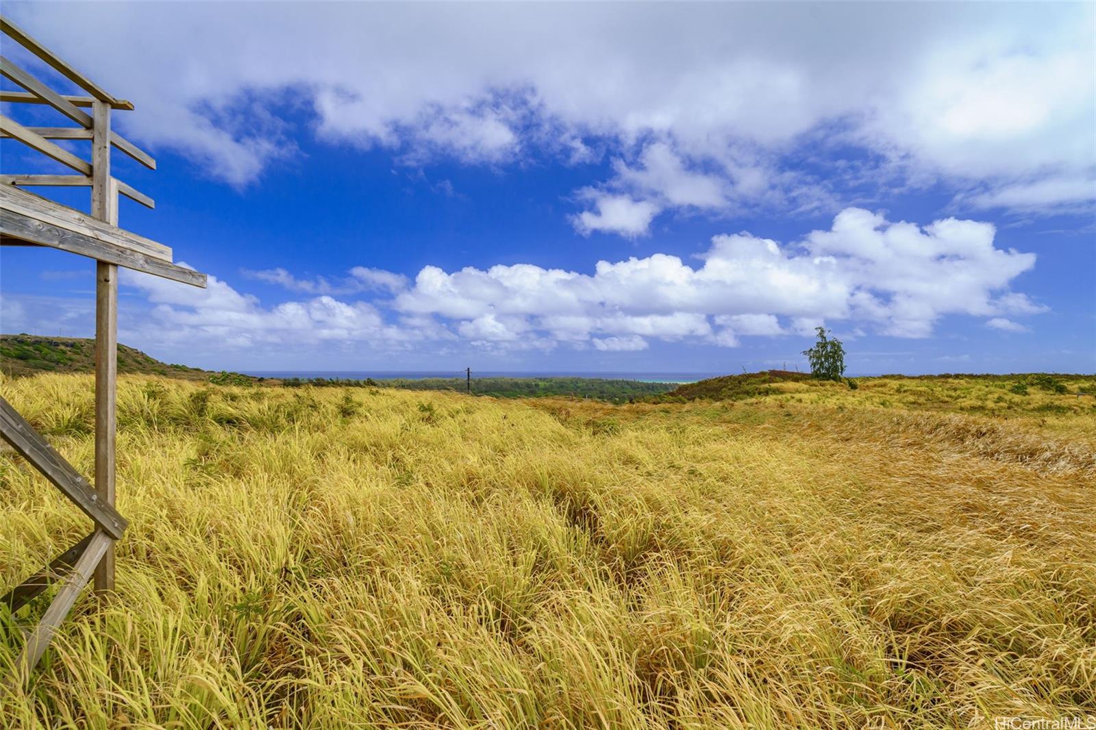 ハワイ不動産物件|56-1080 Kamehameha Highway #2, Kahuku HI ハワイ不動産物件|56-1080 Kamehameha Highway #2, Kahuku HI