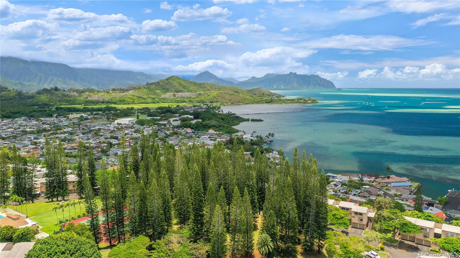 ☆めっちゃん☆ 5×20 ハワイ便 ハワイ不動産物件｜46-60 Konane Place #3615, Kaneohe HI 96744