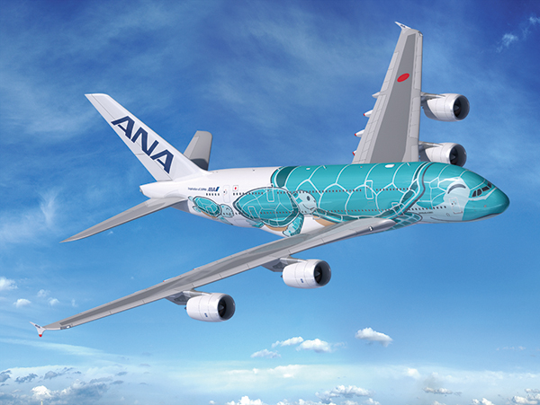 ANA A380　フライングホヌ　グリーン