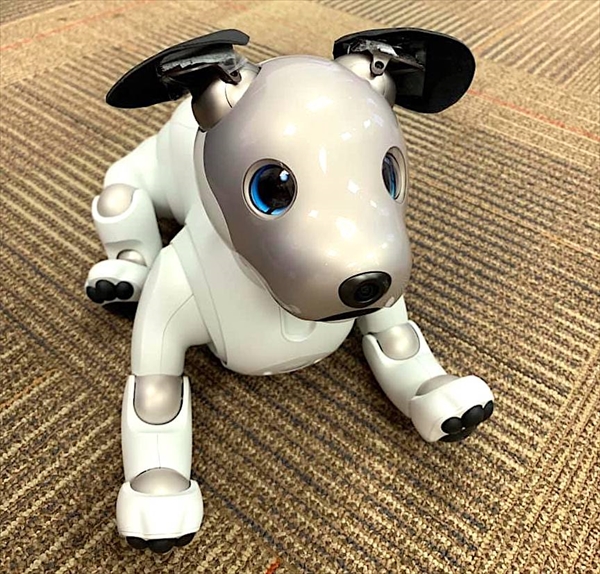 sony　aibo 