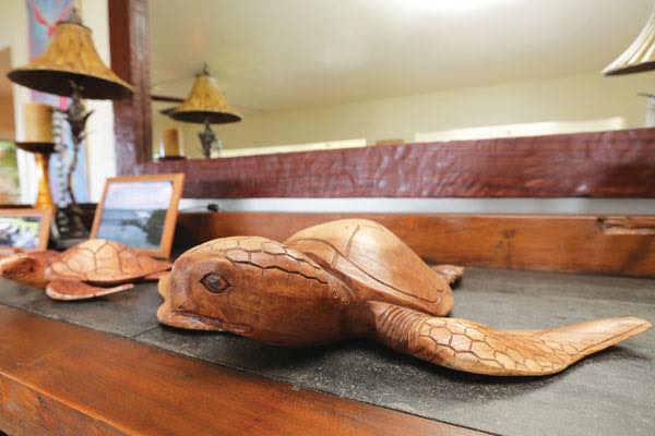 星 泰雄 ハワイに住む ハワイ