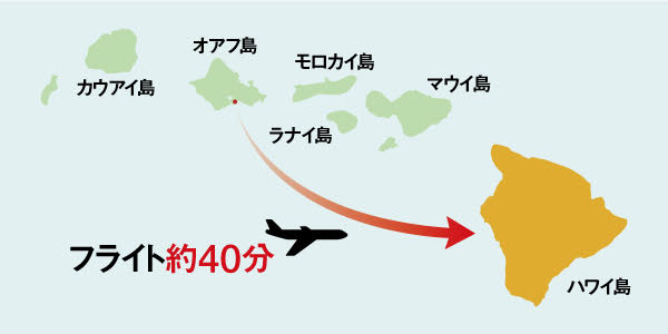 ハワイ島不動産マーケット概要 人気エリア 価格帯 住みやすさは